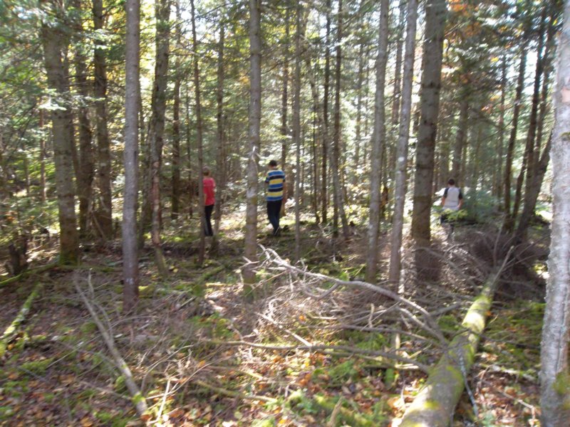 sam_0208.jpg