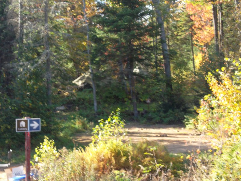 sam_0215.jpg