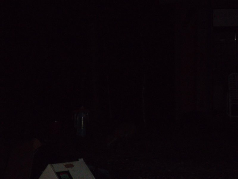 sam_0245.jpg