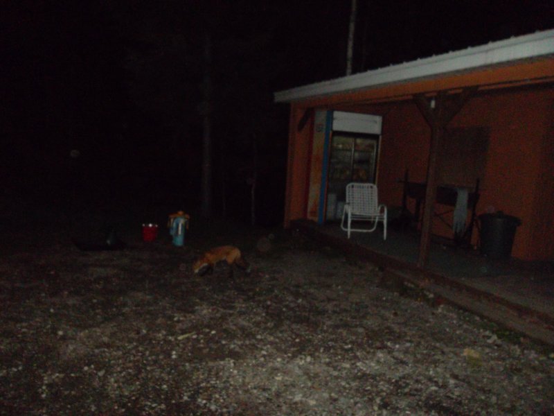 sam_0246.jpg