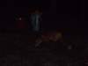 sam_0252_small.jpg