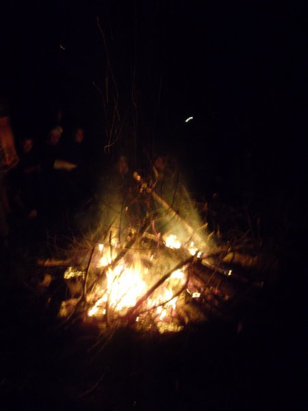 sam_0272.jpg